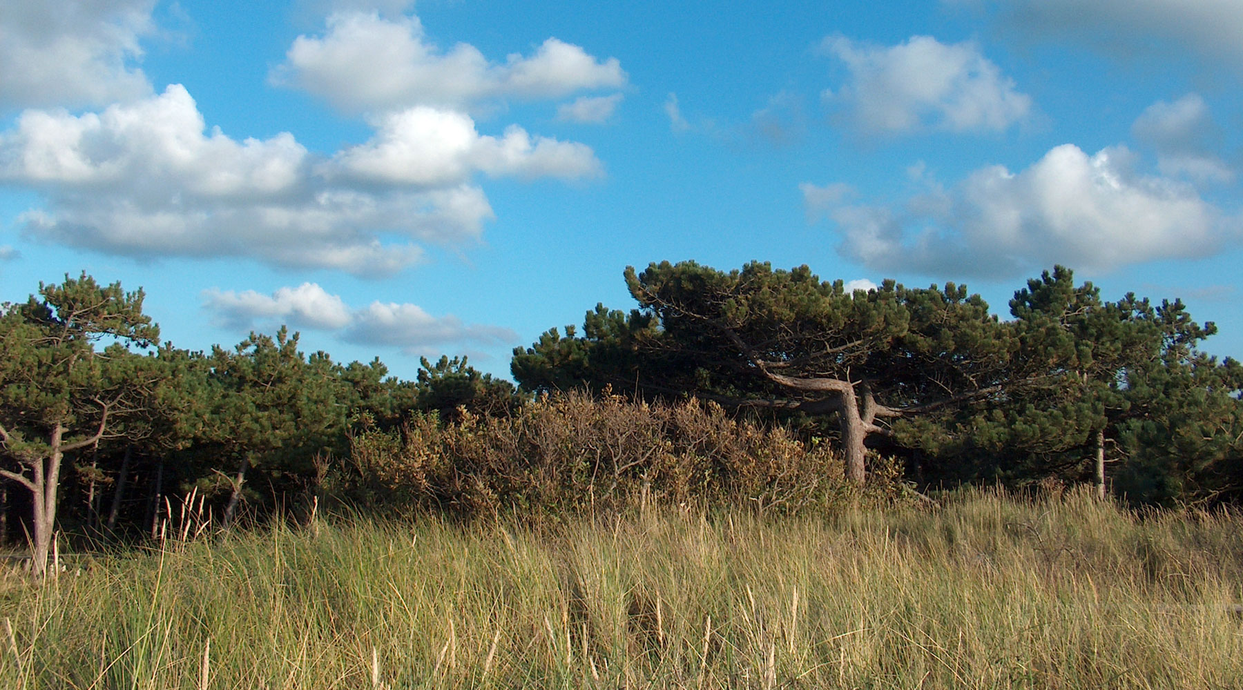 De Waddenster — photo 2