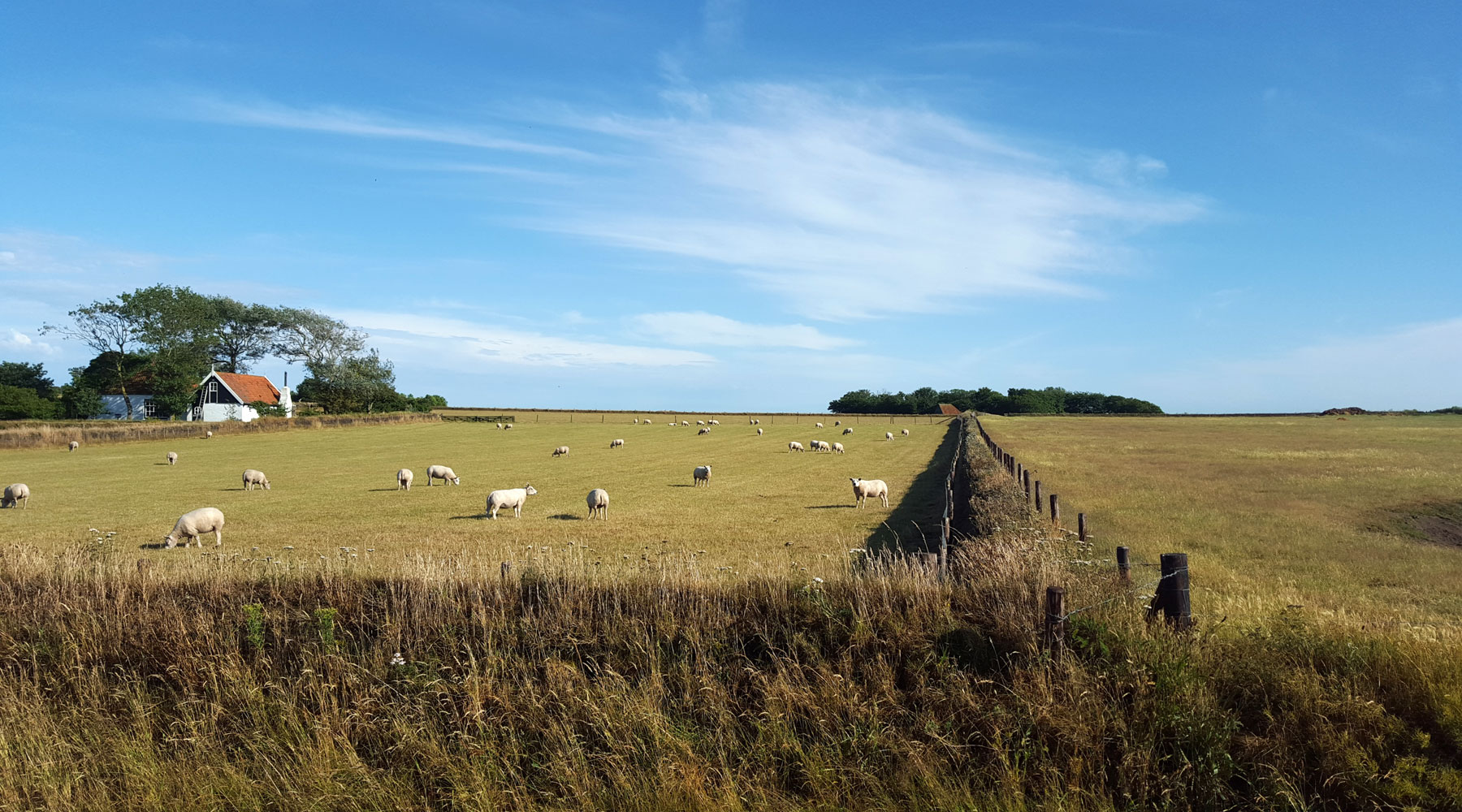 De Waddenster — photo 3